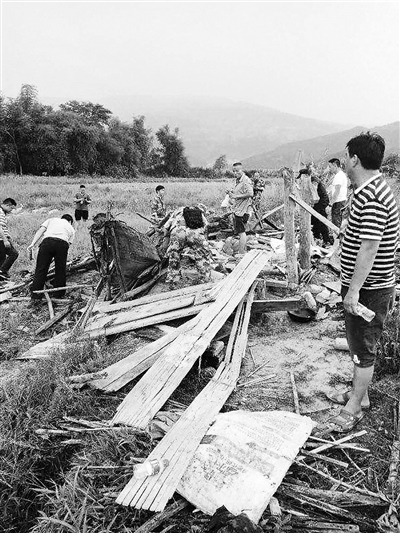 西双版纳一男子遭野象攻击致死