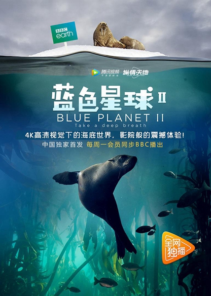 国际生物多样性日：这十部纪录片带你体验生命之美