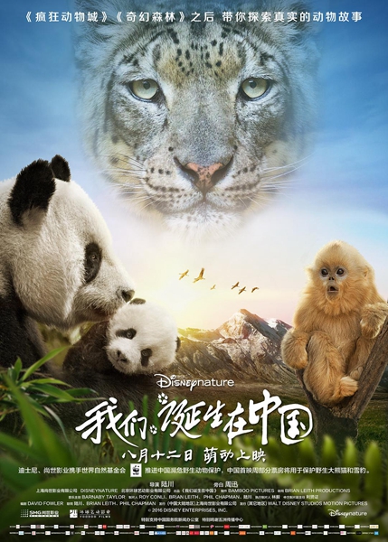 国际生物多样性日：这十部纪录片带你体验生命之美