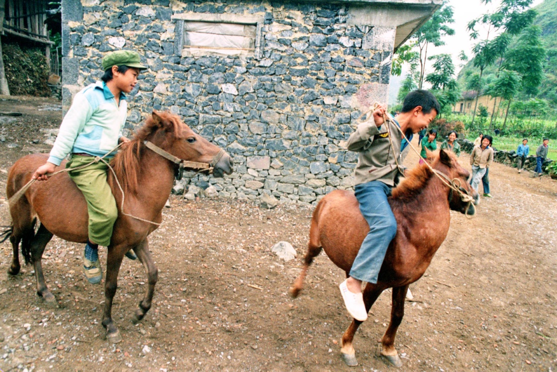 在广西百色地区,两名儿童骑在矮马上,驾驭自如(1988年摄).