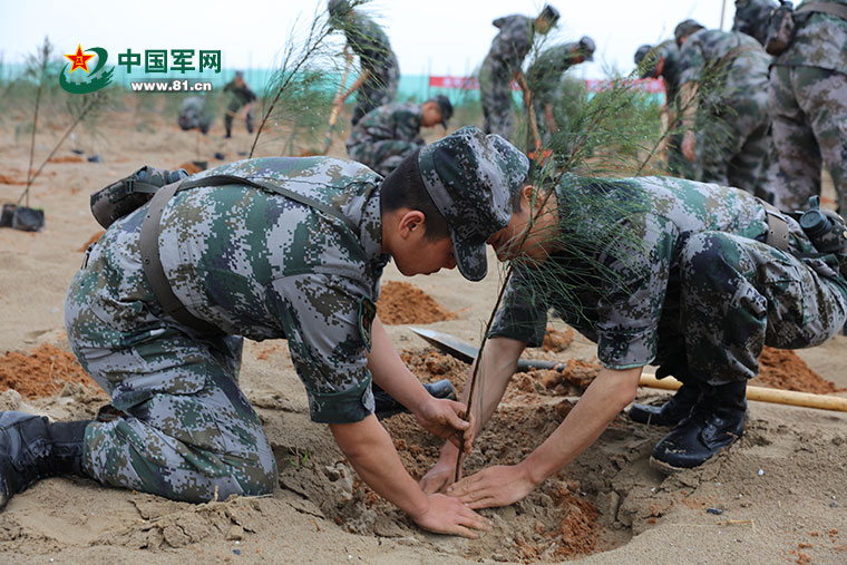 世界环境日｜边关，动人绿色风景后的绿色身影