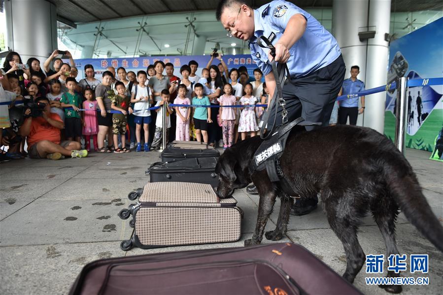 广州海关举办缉毒犬开放日活动2