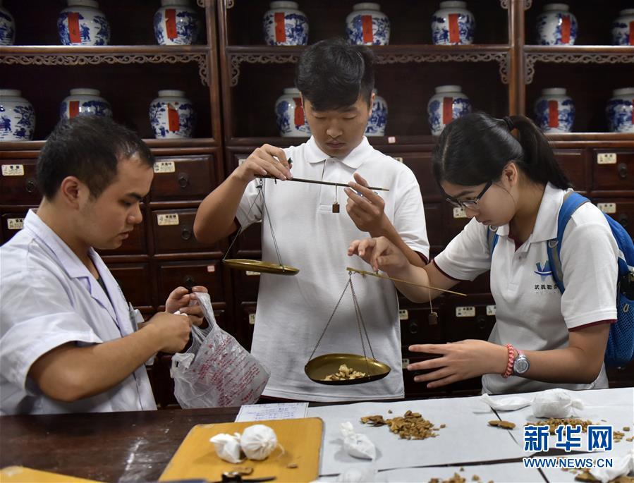 香港學子浙江武義學中醫