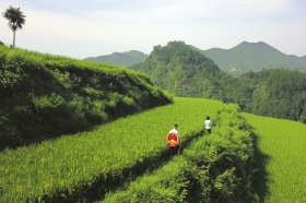 背着国徽把巡回法庭送进大山