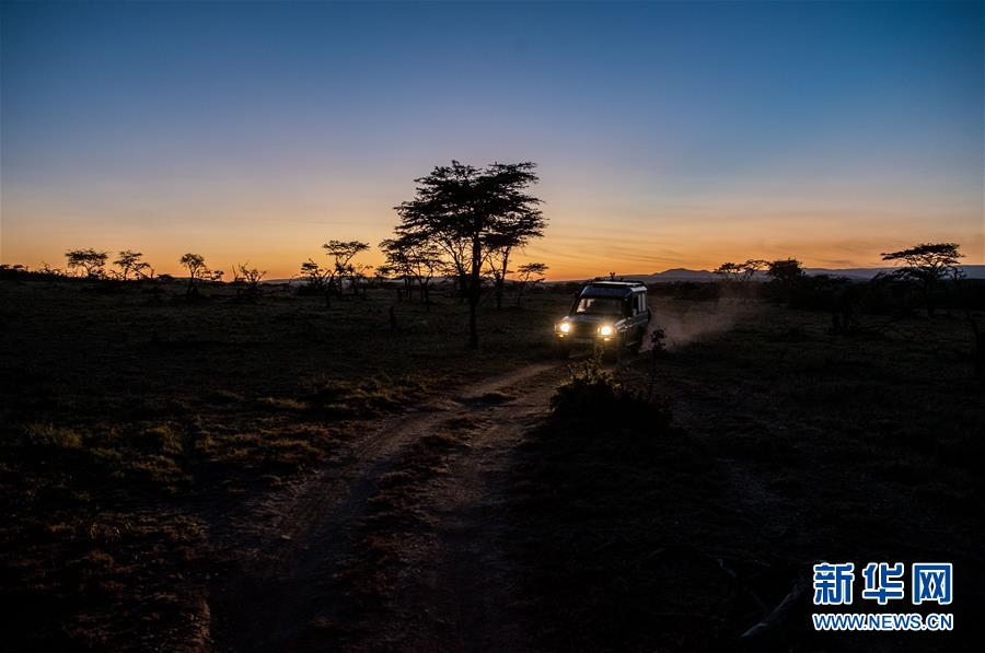 �����ʡ��зǺ�����̳��ͼ�Ļ�������14����ʨͬ�С������ǲ�ԭ�ϵ��й�׷����