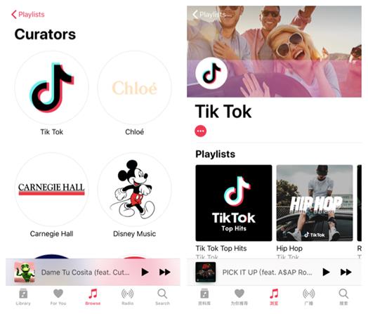 Apple Musicƻ