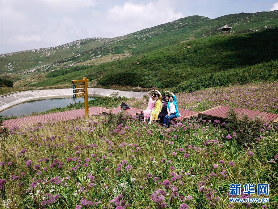 （環境）（2）貴州六盤水：韭菜坪花開引客來