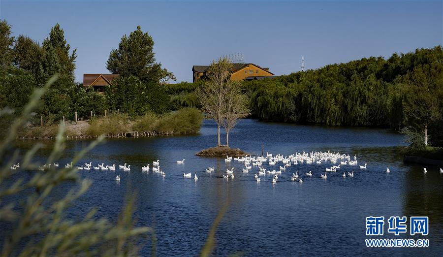 �������й�����3������ɽ�ºں�ʪ�� ��ˮ��ױ��ʫ�ƻ�