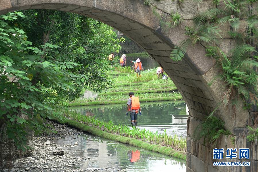 （生態）（1）福州：構建內河水系生態修復鏈提升河水自淨能力