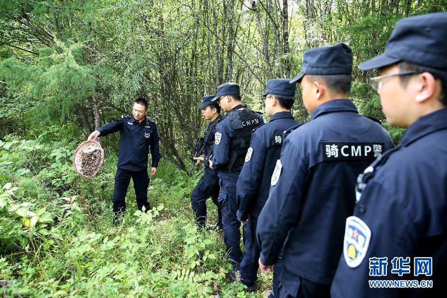探访全国森林公安首支骑警队【5】