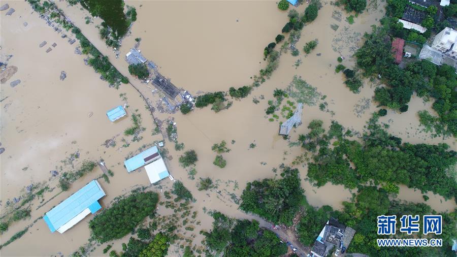 （關注“山竹”）（10）廣東陽江受災嚴重 救災重建工作正在進行