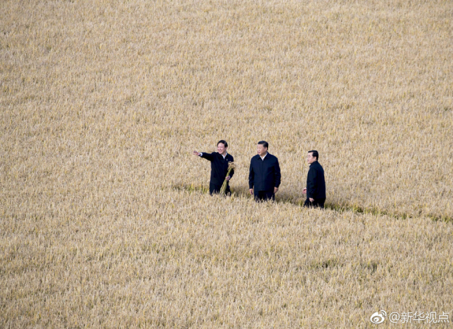 Chinese President Xi Jinping conducts an inspection tour in northeast China's Heilongjiang Province on Tuesday. [Photo: Xinhua]