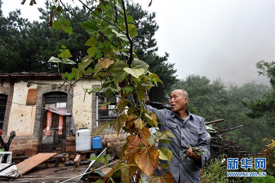 （圖片故事）（8）太行山守墓人：27年如一日守護英靈