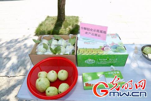 【新時代·幸福美麗新邊疆】廢棄礦坑變身生態公園 廣東茂名“綠色轉身”實現富民強產