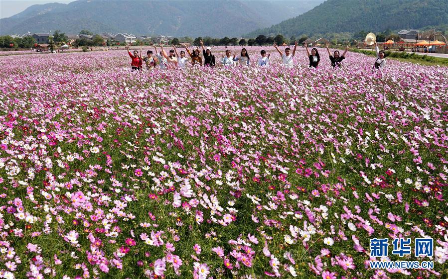 ����ᣩ��3����������