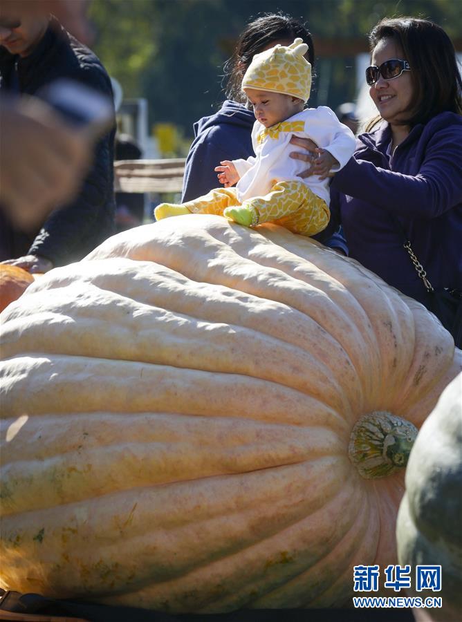 H4ô炐ȁʡeоϹϴِ