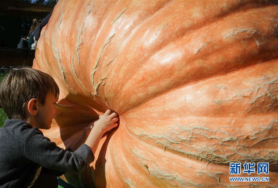 H6ô炐ȁʡeоϹϴِ