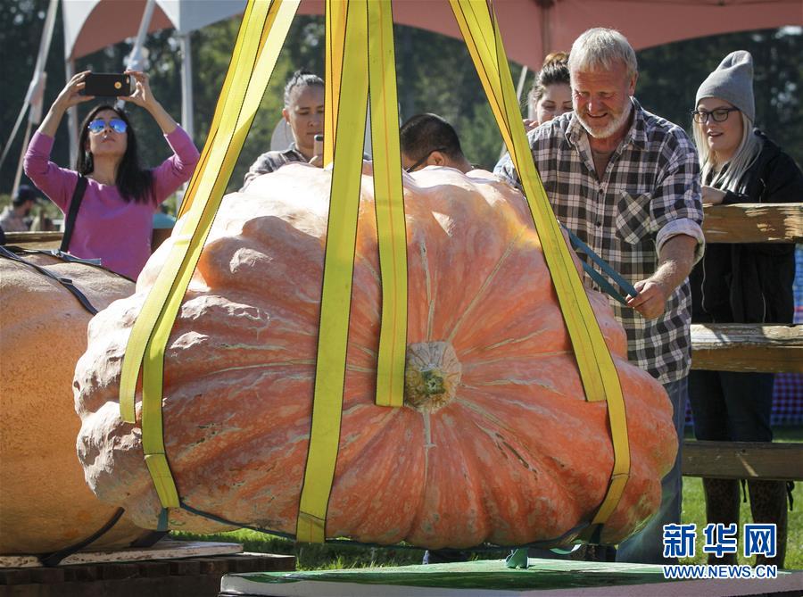 H3ô炐ȁʡeоϹϴِ