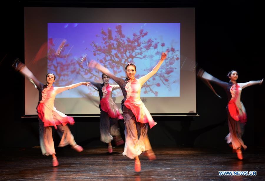 TURKEY-ISTANBUL-KUNG FU SHOW