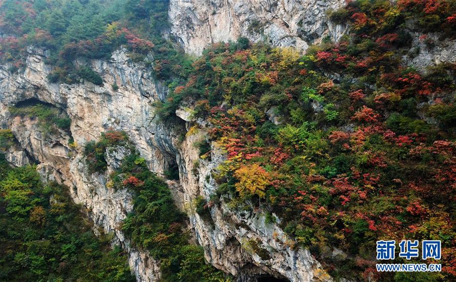 �������й�����5����Ⱦ������