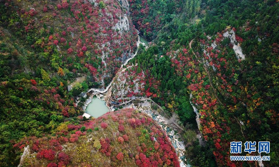 �������й�����3����Ⱦ������