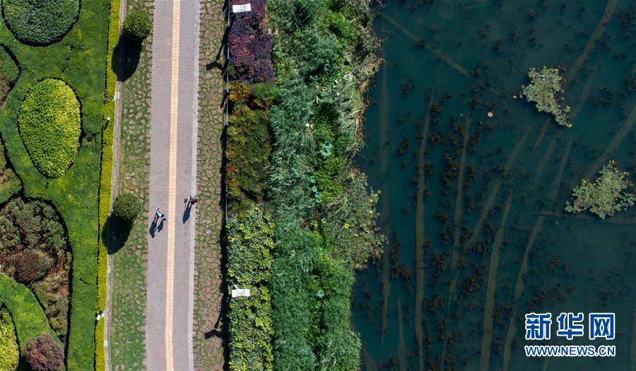 ����������6���������ˮ�ʳ������