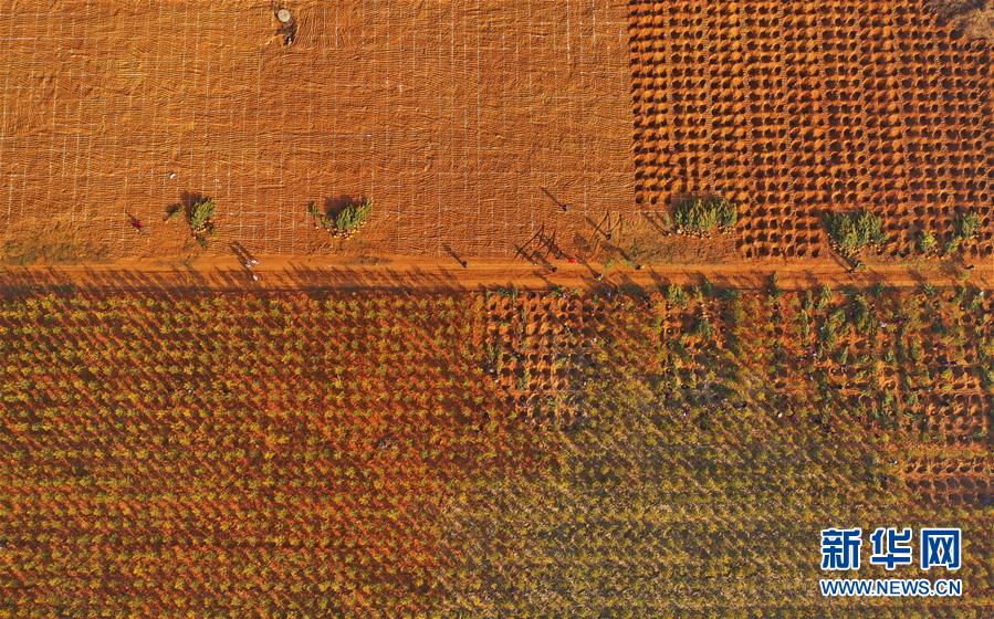 ����ᣩ��1���ӱ�Ǩ����������ɽ���̸���չ����