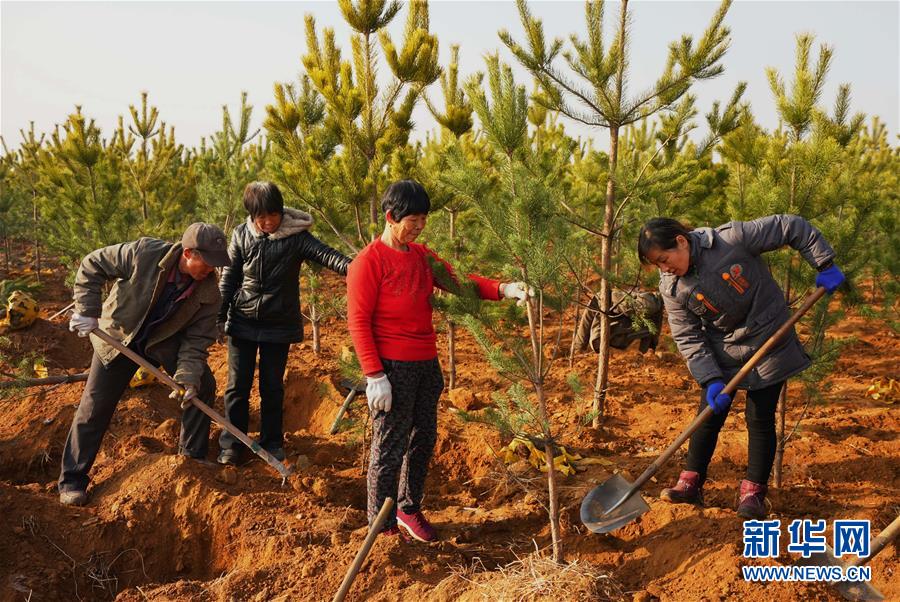 ����ᣩ��2���ӱ�Ǩ����������ɽ���̸���չ����