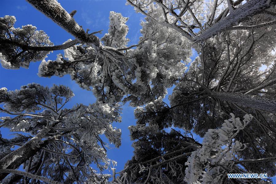 #CHINA-ANHUI-HUANGSHAN MOUNTAIN-SNOW-SCENERY (CN)