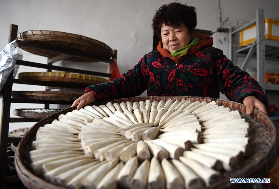 CHINA-ANHUI-XUAN INK BRUSH-MAKING (CN)