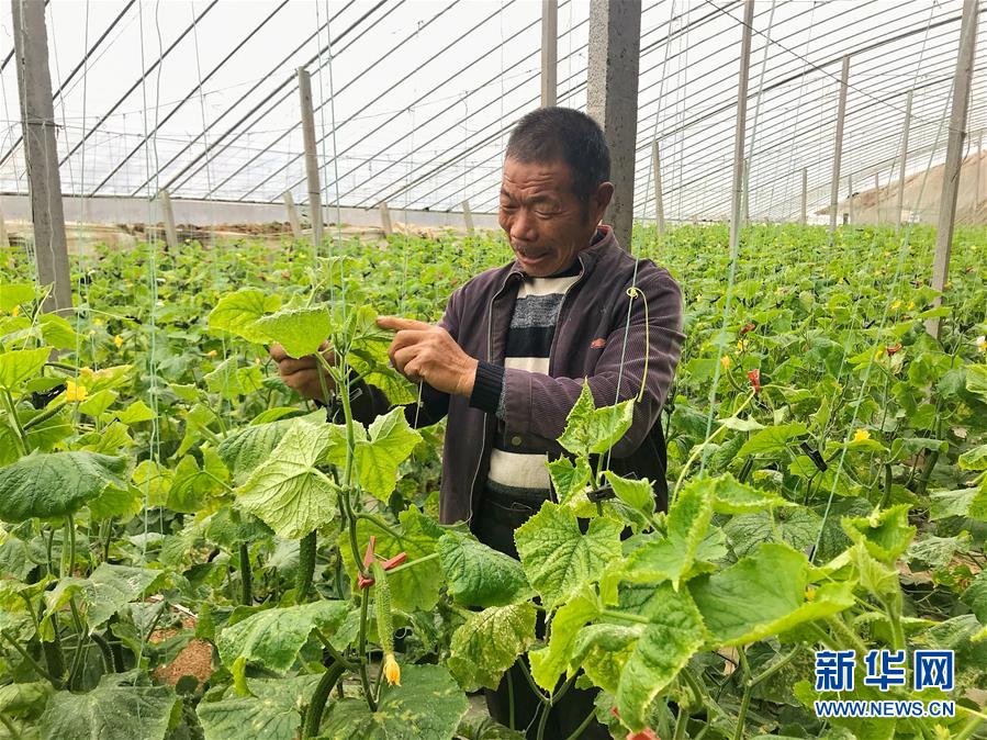 （圖文互動）（2）深山裡種下“有盼頭” 農民家收獲“好盼頭”