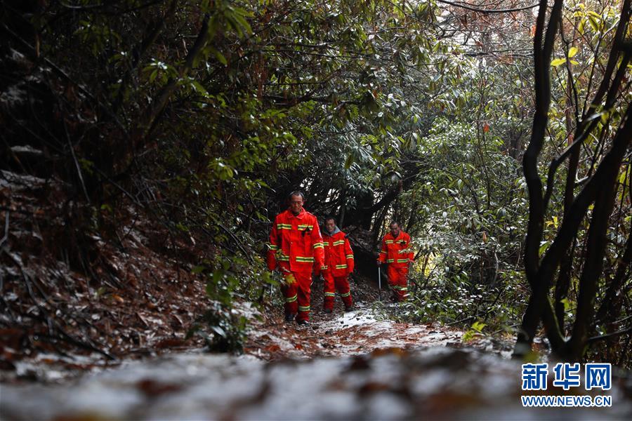 #（社会）（4）贵州毕节：护林三兄弟