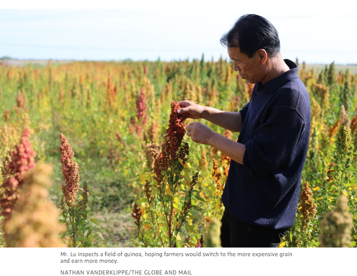【中国那些事儿】“中国瑜伽第一村”扶贫又扶心外媒点赞富有创造力的扶贫之路beat365官网(图4)