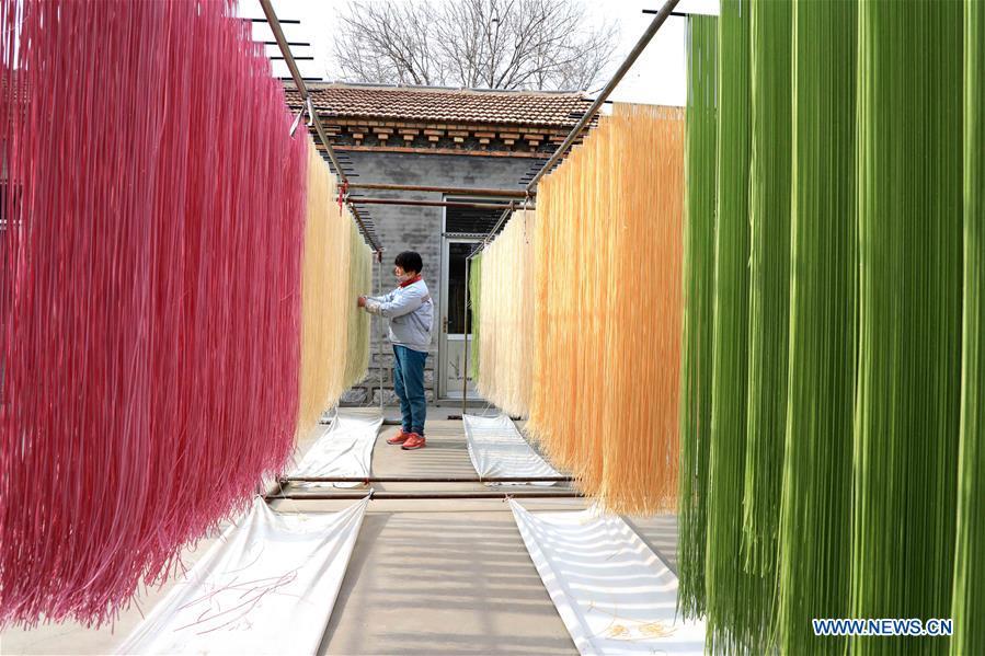 A staff member airs colored noodles at a workshop in Binzhou, east China\'s Shandong Province, Jan. 29, 2019. These noodles are naturally colored using vegetables or fruits such as carrot, spinach and dragon fruit. (Xinhua/Zhang Chunfeng)