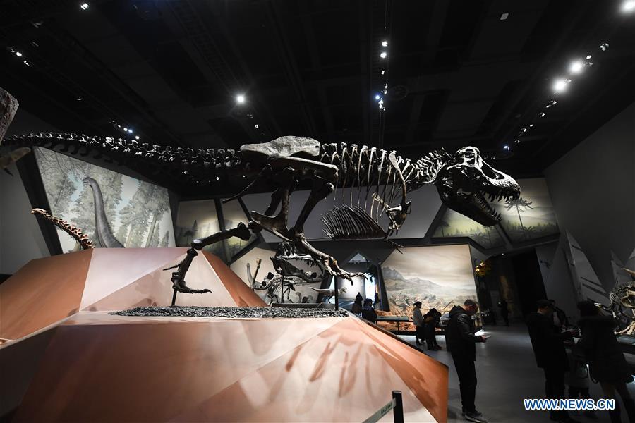 People visit the Anji Branch of Zhejiang Museum of Natural History in Anji County, east China\'s Zhejiang Province, Jan. 31, 2019. The museum attracts lots of visitors during the winter vacation. (Xinhua/Xu Yu)