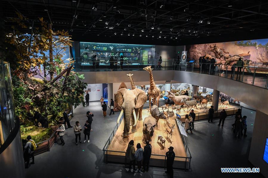 People visit the Anji Branch of Zhejiang Museum of Natural History in Anji County, east China\'s Zhejiang Province, Jan. 31, 2019. The museum attracts lots of visitors during the winter vacation. (Xinhua/Xu Yu)