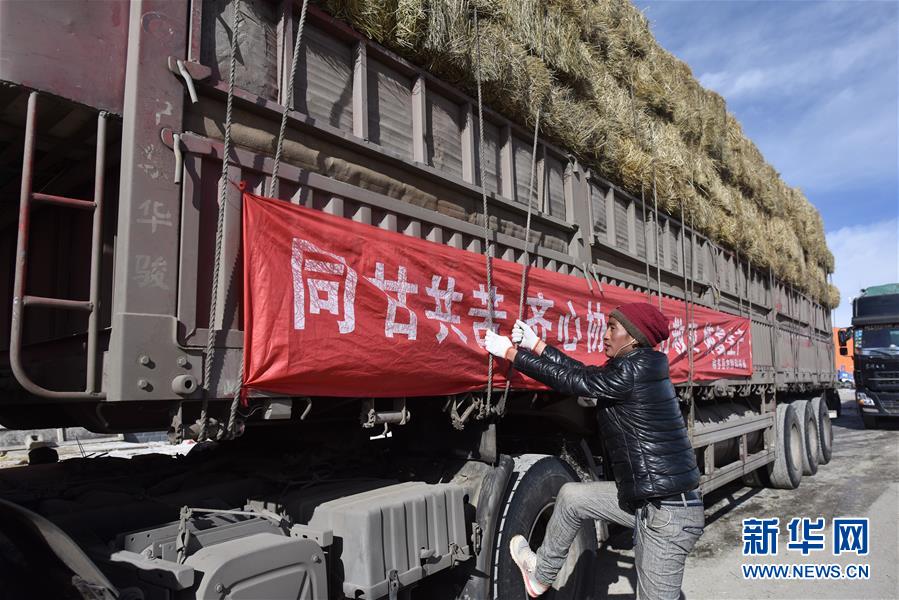 （圖文互動）（1）情聚江源 千裡馳援——京豫川等地援助青海玉樹雪災區