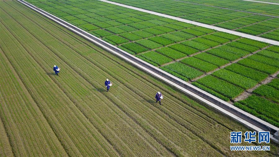 #�����ã���5�����ش��ũ��æ