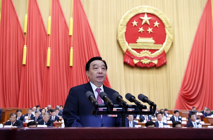 王晨作關於外商投資法草案的說明
