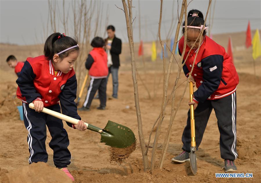 Children plant trees at Wuzhong Village in Qiaoxi District of Xingtai City, north China\'s Hebei Province, March 11, 2019. Students from Guoshoujing Primary School took part in a tree-planting activity to greet the upcoming Tree Planting Day, also known as Arbor Day, which falls on March 12 each year. (Xinhua/Mu Yu)