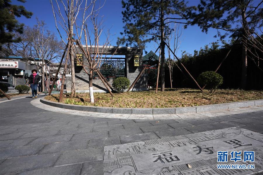 （圖文互動）（1）沉甸甸的“綠色獲得感”——植樹節探訪北京家門口的小公園