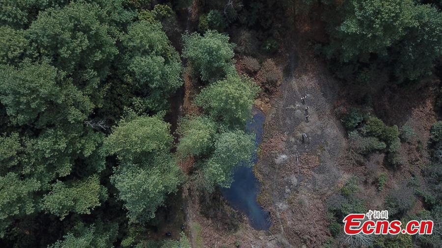 A view of the Gonglongping state-owned tree farm in Bijie City, Guizhou Province, March 10, 2019. Influenced by their father, the three brothers began to work as rangers in the farm in 1981. The tree farm covers an area of 53,300 mu (3,553 hectares) and the brothers usually walk approximately 30 kilometers on average per working day. Guizhou has about 3,000 registered rangers who work in tree farms totalling 5.55 million mu. (Photo: China News Service/Qu Honglun)