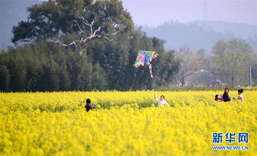 #（社會）（1）忙趁東風放紙鳶