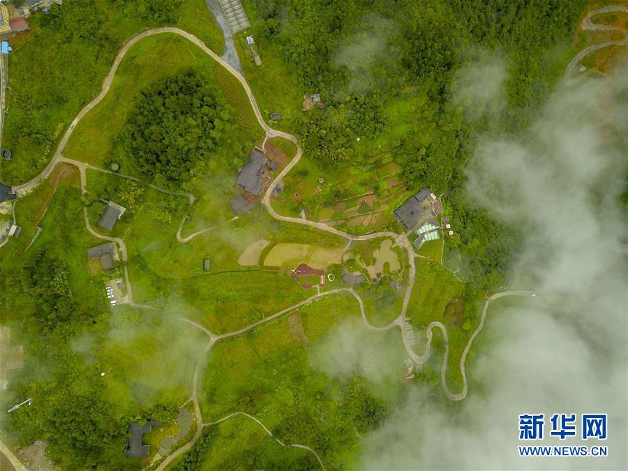 （圖文互動）（2）念好“山字經” 吃好“生態飯”——重慶武隆鄉村振興觀察