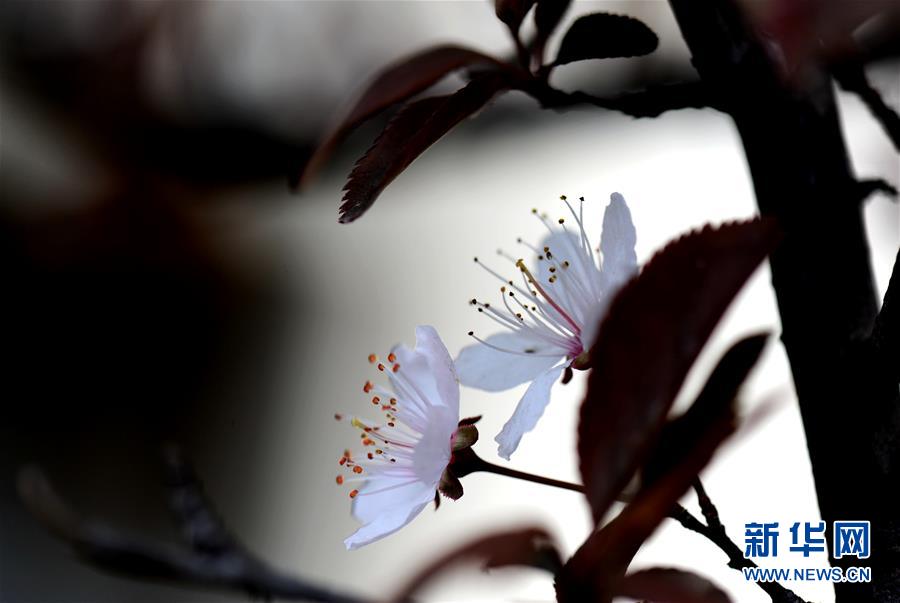 ������������̬����5���Ϻ���ǧ���ٻ�������