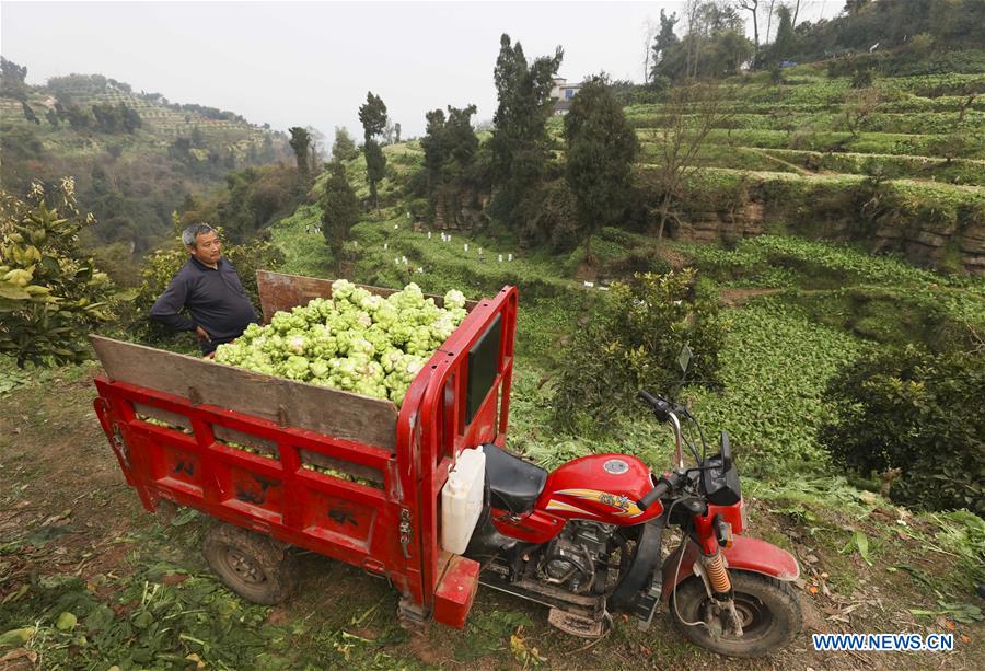 CHINA-CHONGQING-ECONOMY-PICKLE (CN)