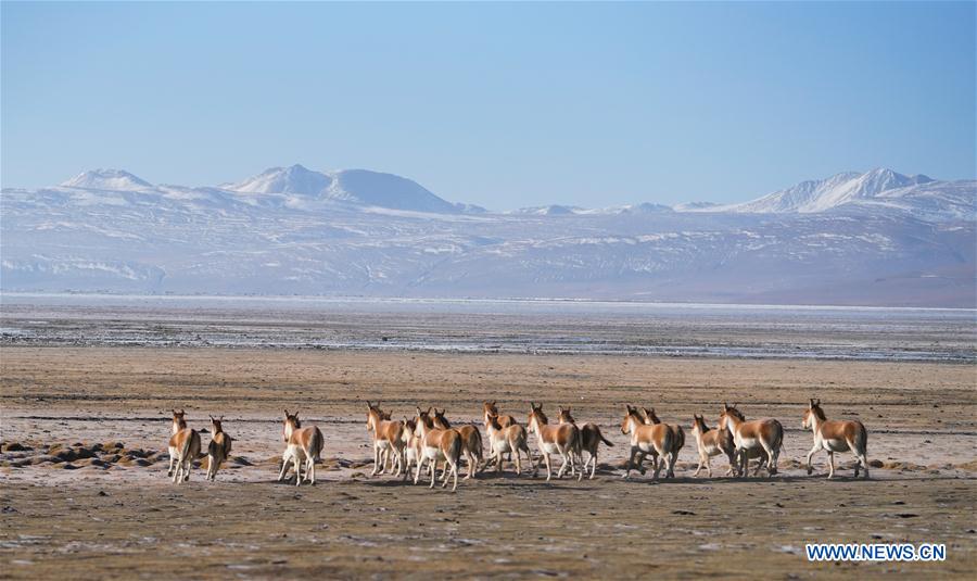 CHINA-TIBET-ECO-ENVIRONMENT PROTECTION (CN)