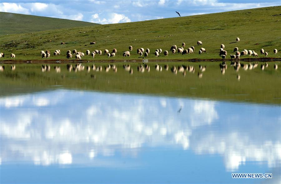 CHINA-TIBET-ECO-ENVIRONMENT PROTECTION (CN)