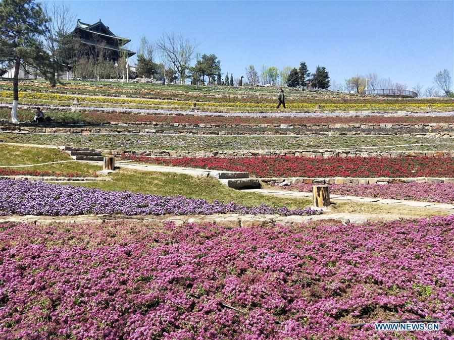 Photo taken with a mobile phone shows a scene on the site for the upcoming 2019 Beijing International Horticultural Exhibition in Yanqing District of Beijing, capital of China, April 15, 2019. (Xinhua/Wei Mengjia)