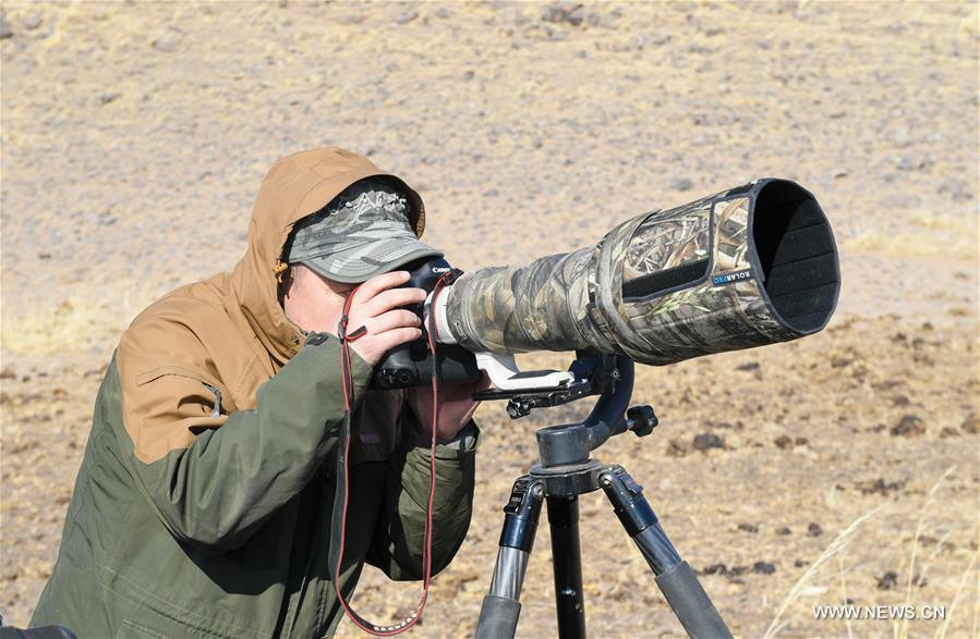 Shuanglong, a man of Mongolian ethnic group, takes pictures of raptors at a grassland along the Hulun Lake in the Hulun Buir City, north China\'s Inner Mongolia Autonomous Region, April 12, 2019. Shuanglong, a volunteer born in the 1980s, has been dedicated to protecting wildlife inhabiting along the Hulun Lake over the past ten years. Over 40 endangered animals have been saved through his efforts. Shuanglong has organized various activities including photo exhibitions and lectures, as a way to raise awareness of wildlife protection among the public. Affected by Shuanglong, some volunteers also joined him to protect wildlife along the Hulun Lake. (Xinhua/Peng Yuan)